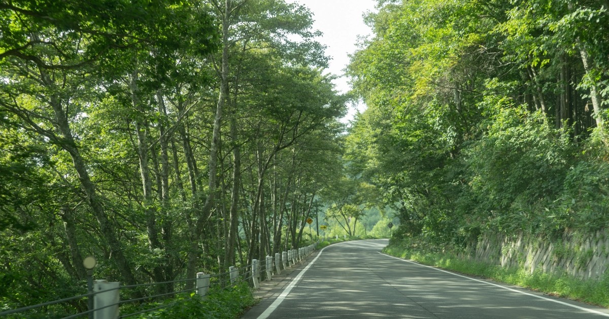 なぜ youthful days は「デジタルテクノロジー×農業」を選んだのか