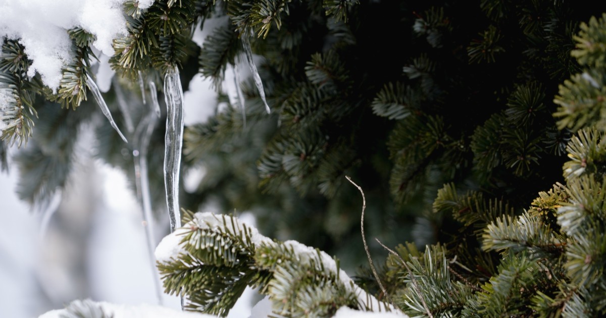 長野でデータエンジニアリングの仕事をつくるという選択