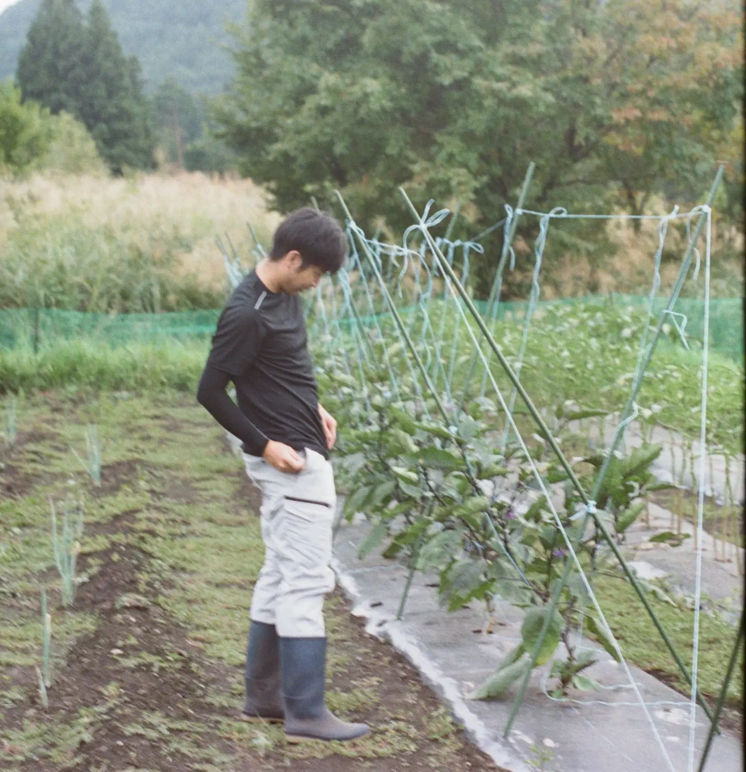 企業イメージ画像