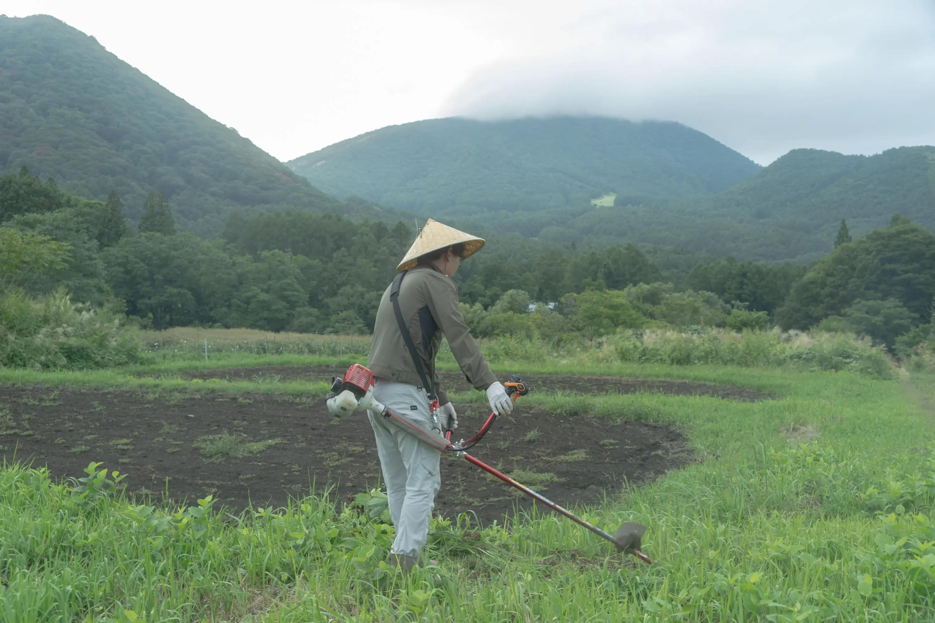 企業イメージ画像