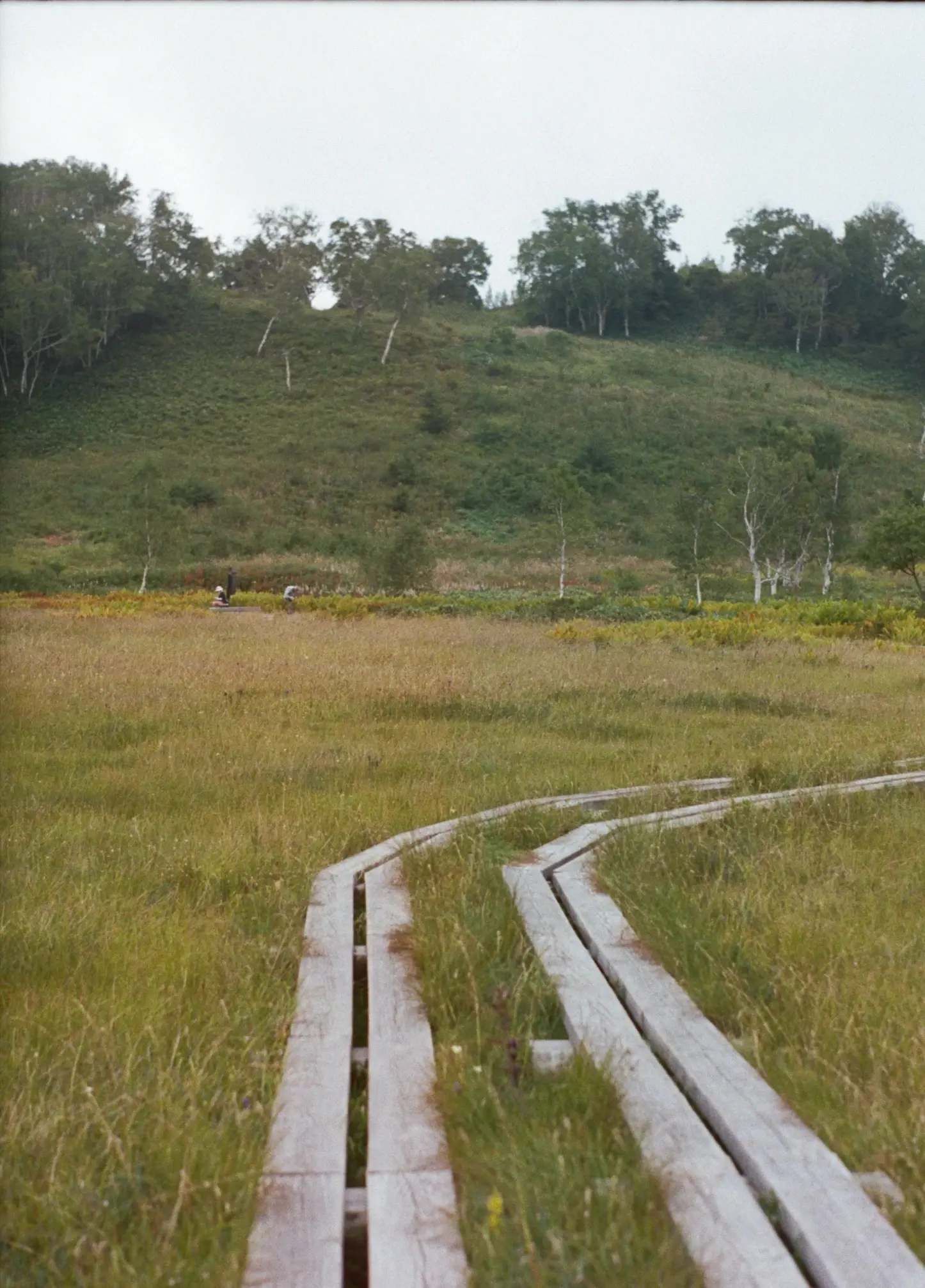 Recruit - youthful days