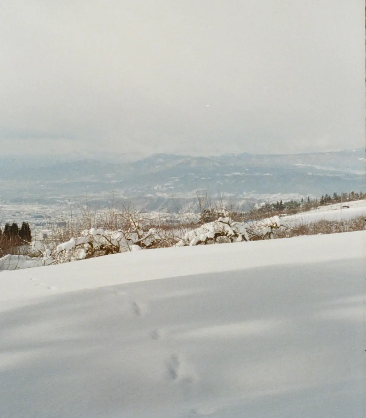 雪景色の山道