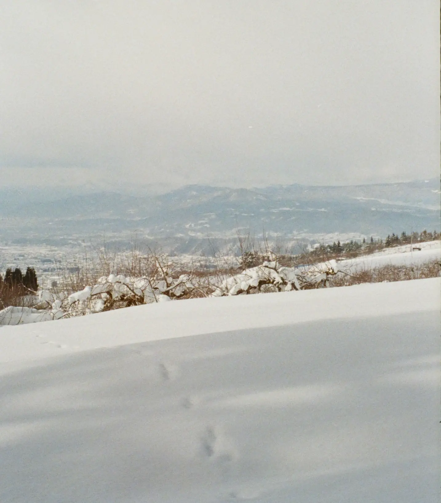 雪景色の山道